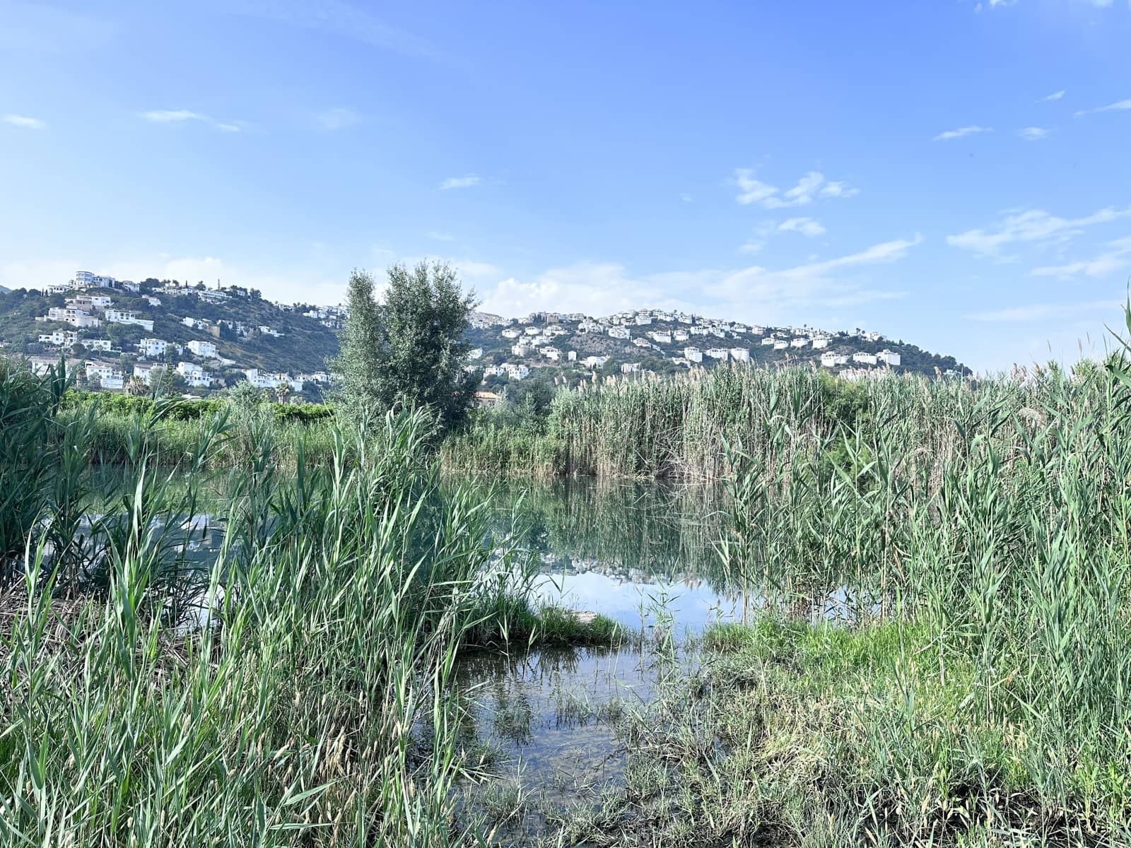 Terreno Non Edificato in vendita in Alicante citta - 24.500 € (Rif: 9991454)