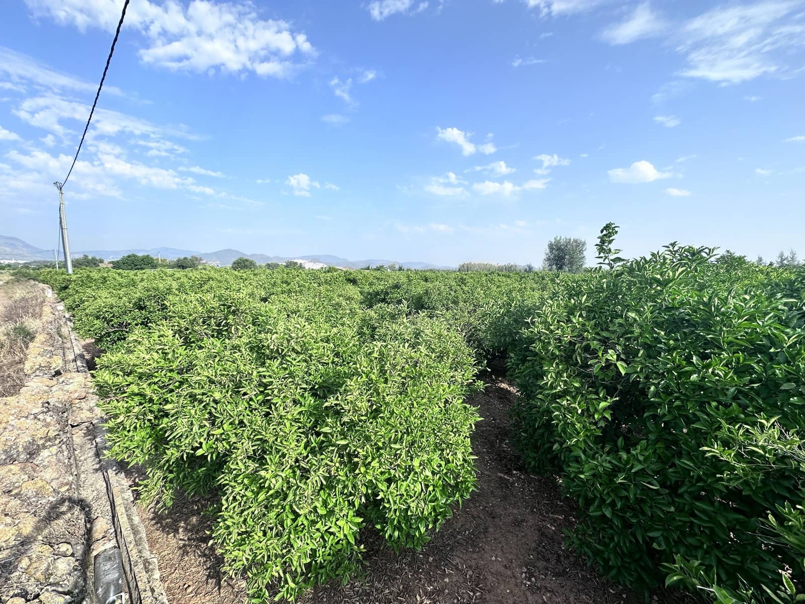 Terreno Non Edificato in vendita in Alicante citta - 24.500 € (Rif: 9991454)