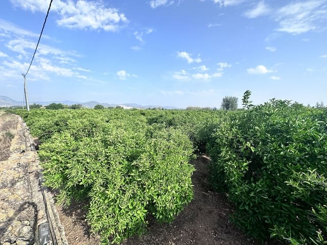 Terreno Non Edificato in vendita in Alicante città - 24.500 € (Rif: 9991454)