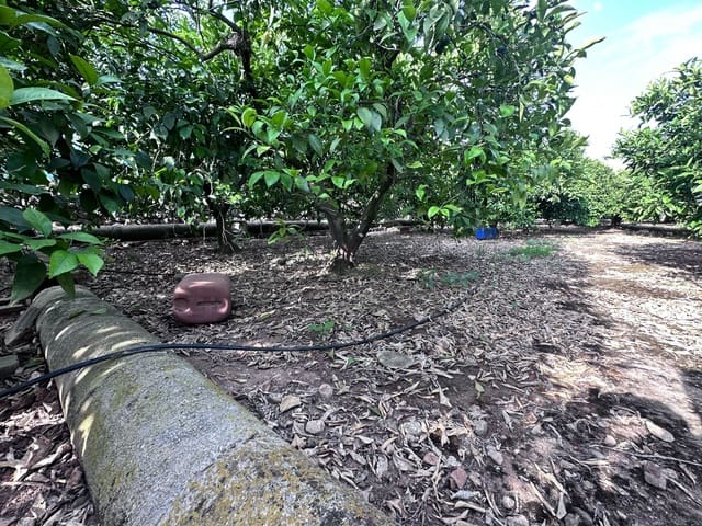 Terreno Non Edificato in vendita in Alicante città - 24.500 € (Rif: 9991454)