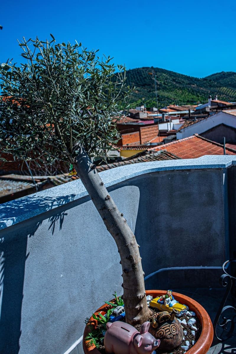 2 sypialnia Dom na sprzedaż w Miasto Toledo z garażem - 90 000 € (Ref: 9991463)