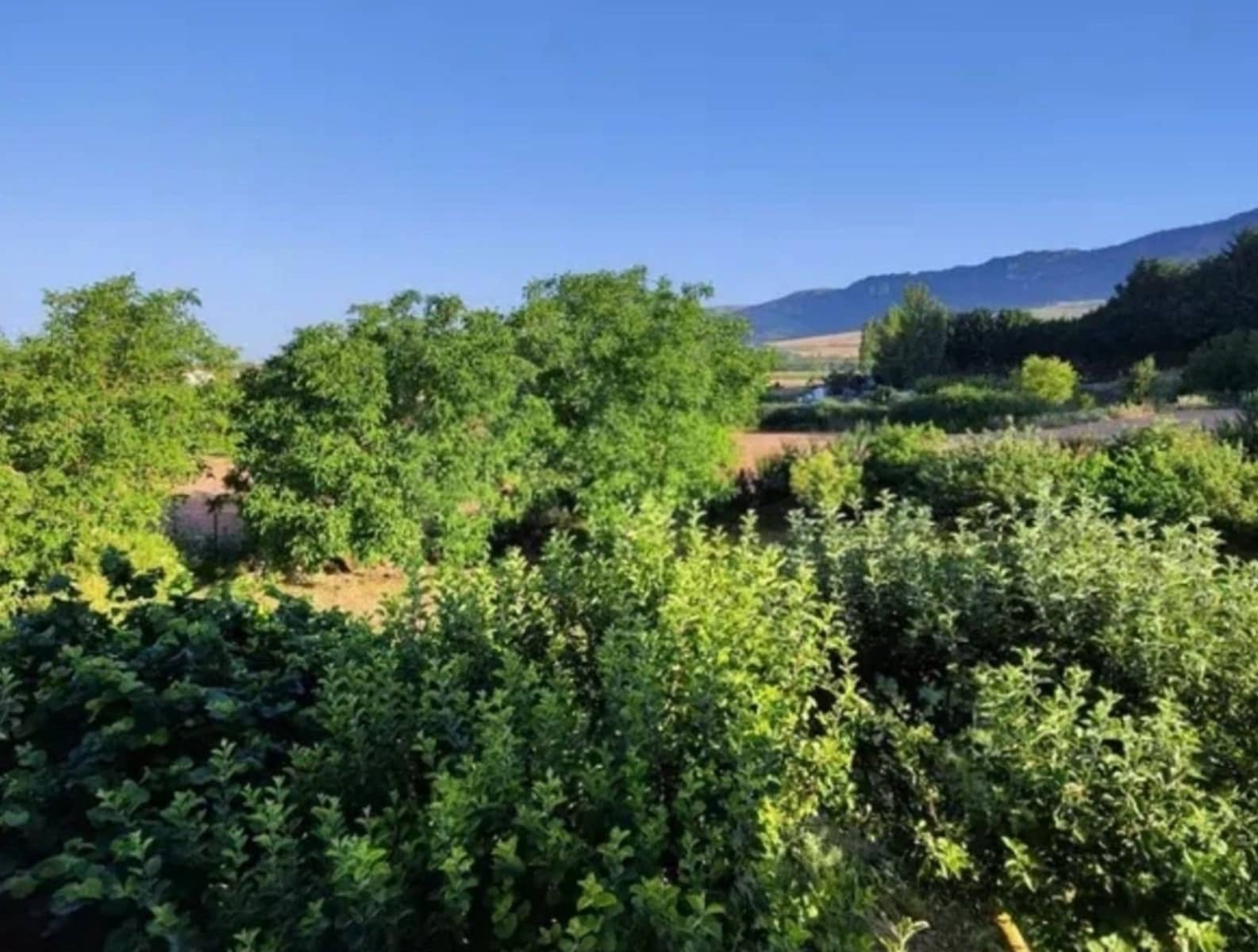 8 quarto Quinta/Casa Rural para venda em Burgos cidade com garagem - 155 000 € (Ref: 9991467)