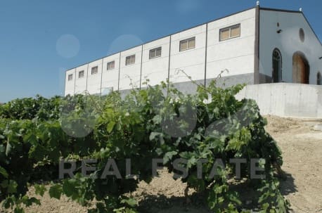Finca/Herregård til salgs i Cádiz by - € 4 500 000 (Ref: 9991469)