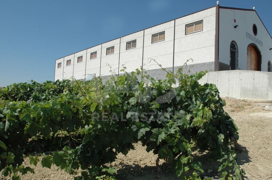 Finca/Herregård til salgs i Cadiz by - € 4 500 000 (Ref: 9991469)