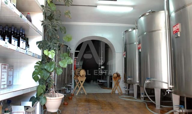 Finca/Herregård til salgs i Cádiz by - € 4 500 000 (Ref: 9991469)