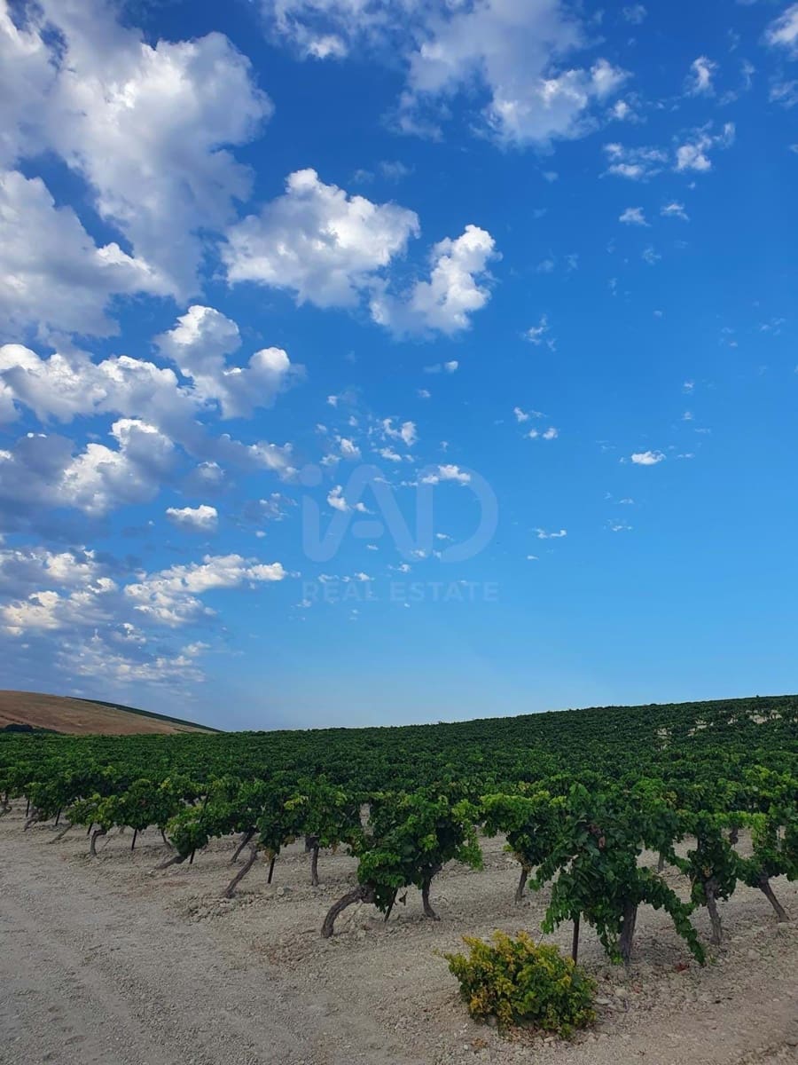Finca/Herregård til salgs i Cadiz by - € 4 500 000 (Ref: 9991469)