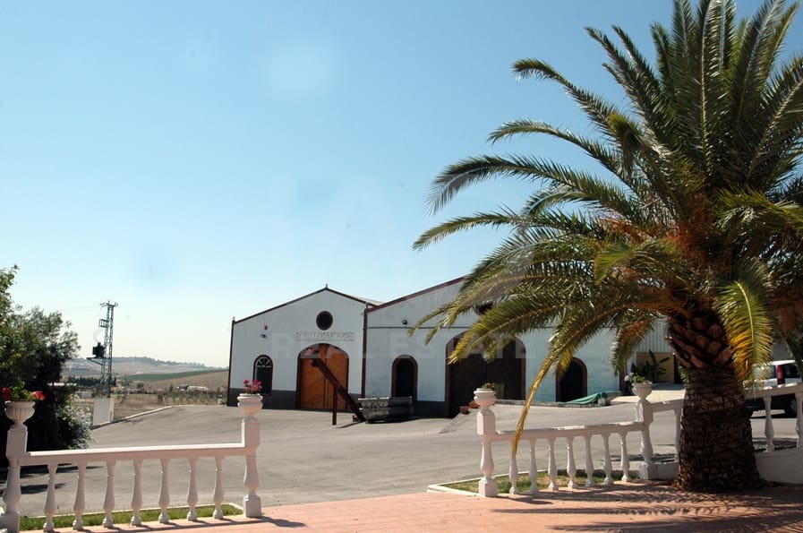 Finca/Herregård til salgs i Cadiz by - € 4 500 000 (Ref: 9991469)