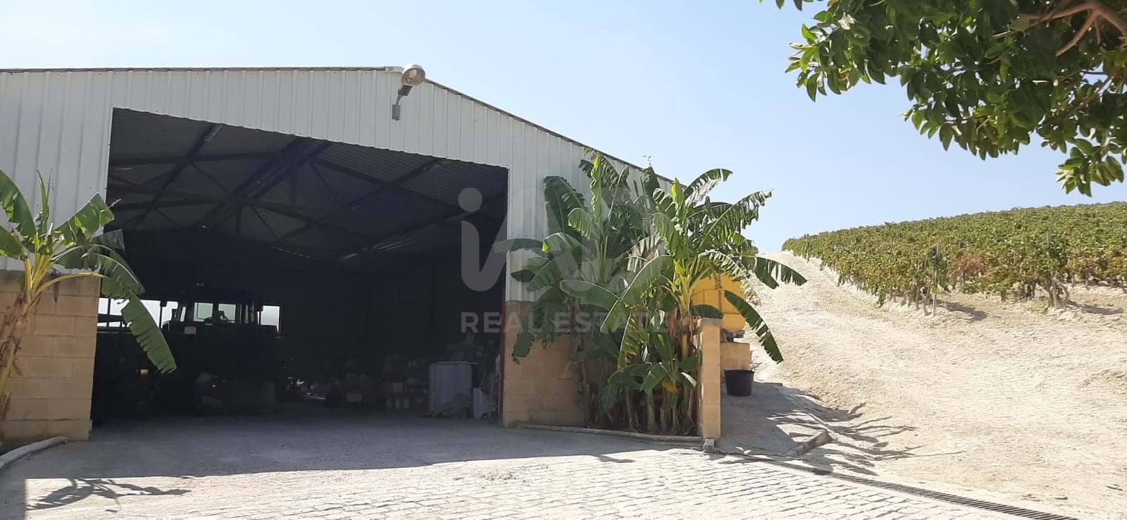 Finca/Herregård til salgs i Cadiz by - € 4 500 000 (Ref: 9991469)