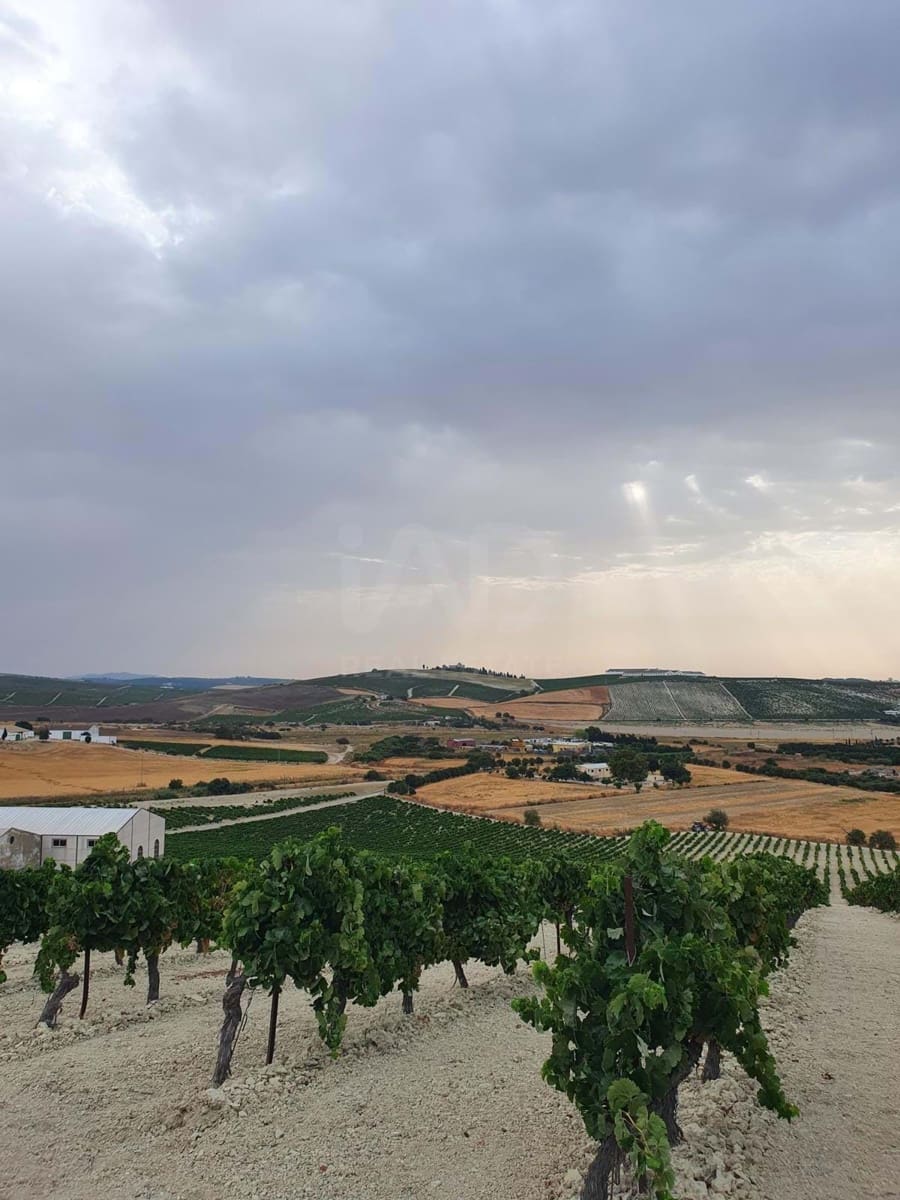 Finca/Herregård til salgs i Cadiz by - € 4 500 000 (Ref: 9991469)
