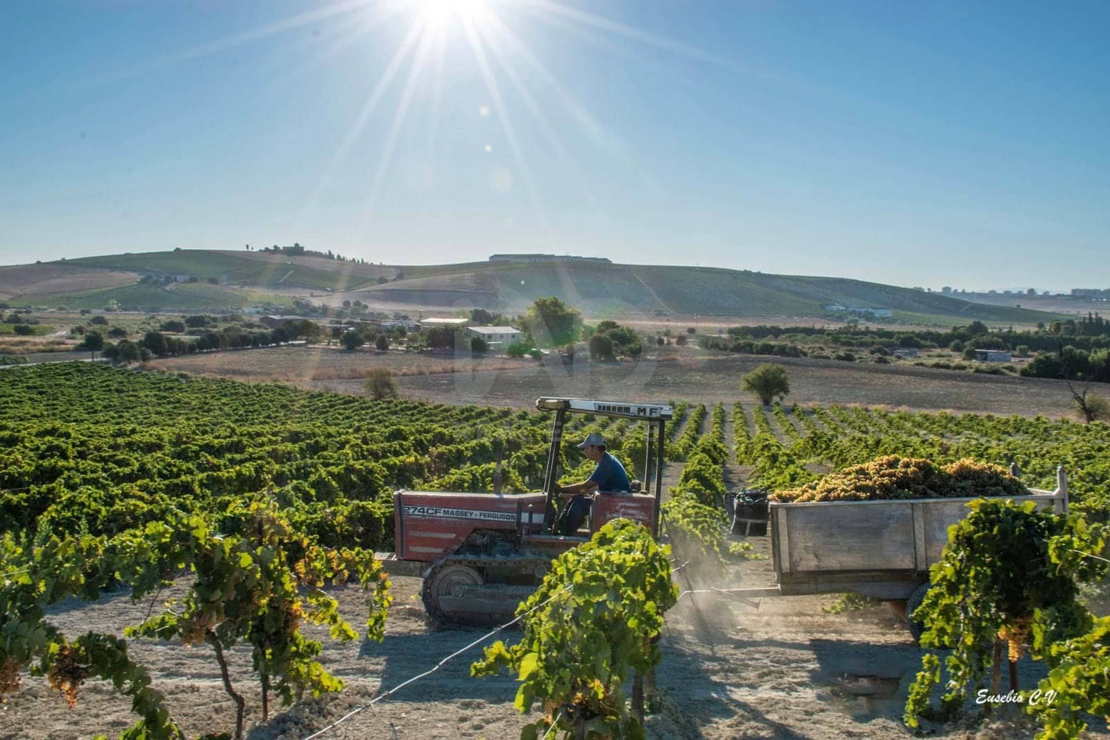 Finca/Herregård til salgs i Cadiz by - € 4 500 000 (Ref: 9991469)