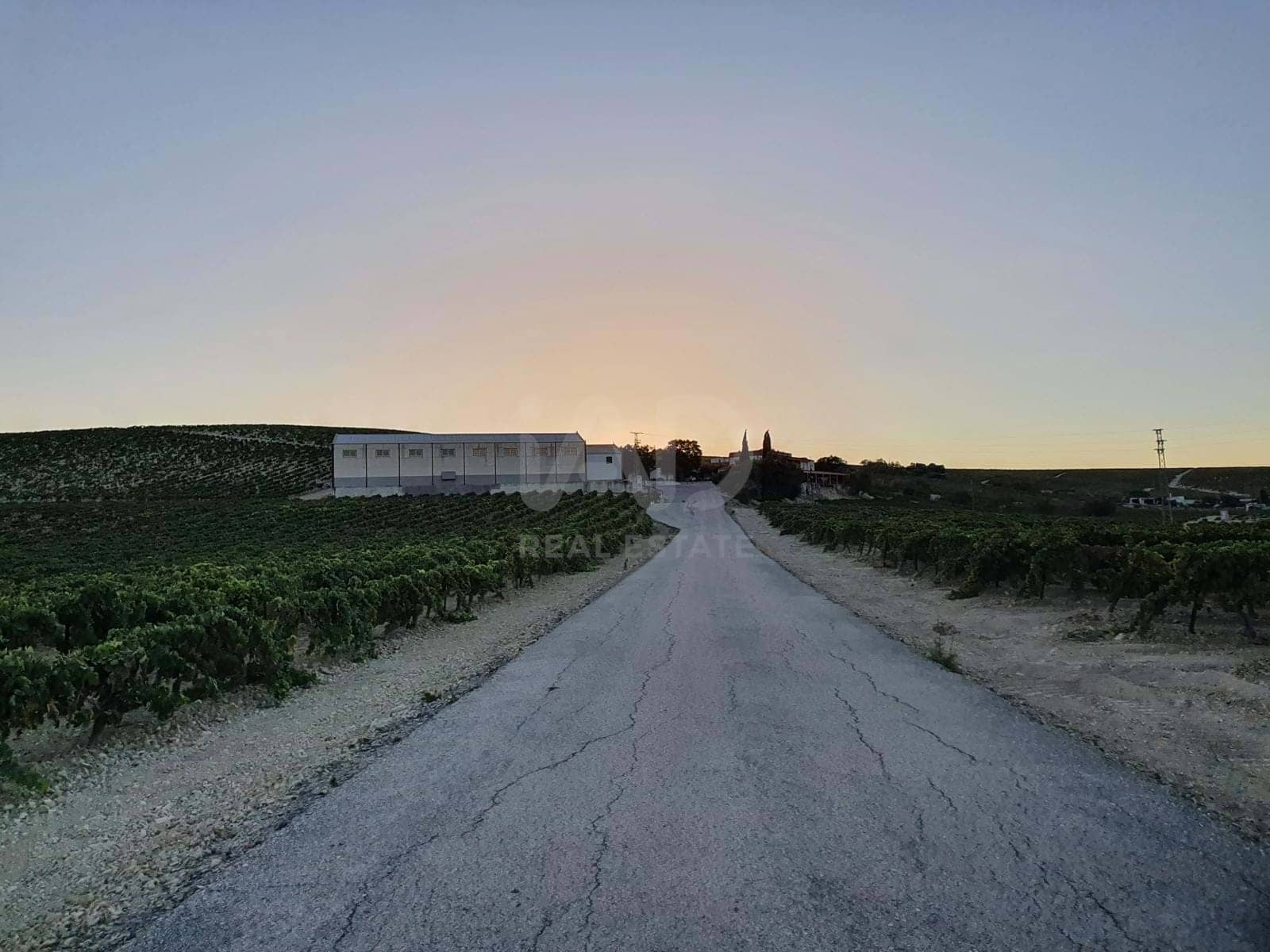 Finca/Herregård til salgs i Cadiz by - € 4 500 000 (Ref: 9991469)