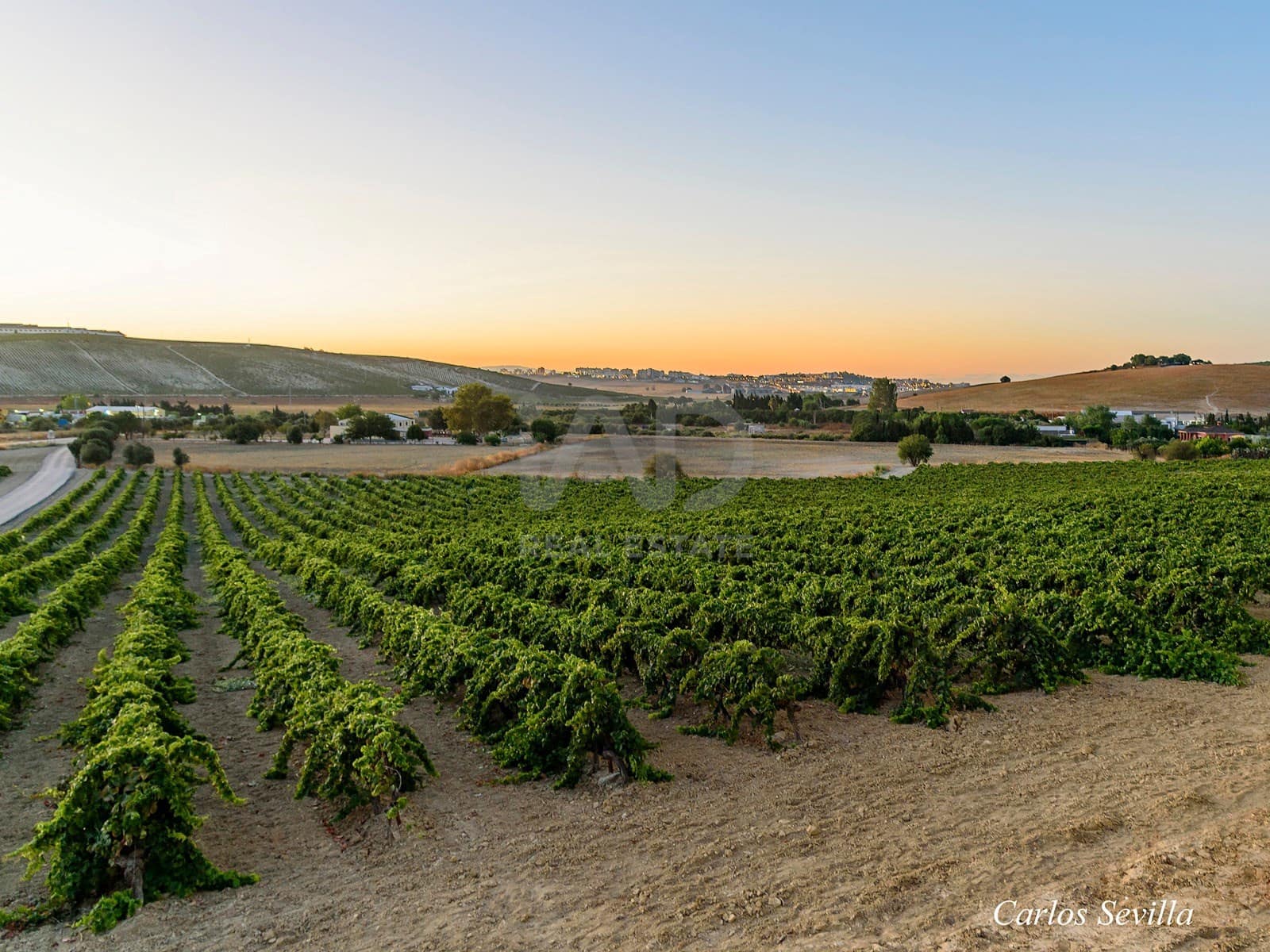 Finca/Herregård til salgs i Cadiz by - € 4 500 000 (Ref: 9991469)