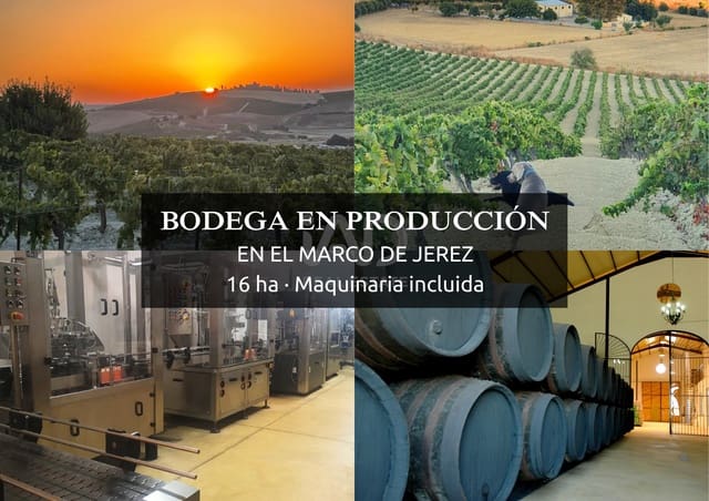 Finca/Herregård til salgs i Cádiz by - € 4 500 000 (Ref: 9991469)