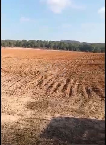 Finca/Maison de Campagne à vendre à Perafort - 525 000 € (Ref: 9991479)