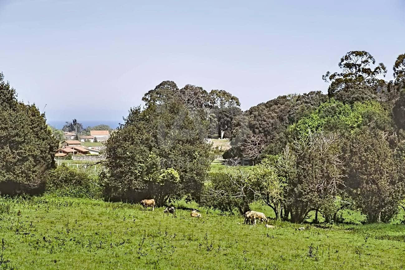 4 camera da letto Finca/Casa di Campagna in vendita in Llanes - 590.000 € (Rif: 9991482)