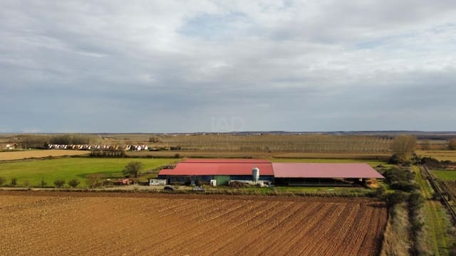 Finca/Landehus til salg i San Millán de los Caballeros - € 695.000 (Ref: 9991485)