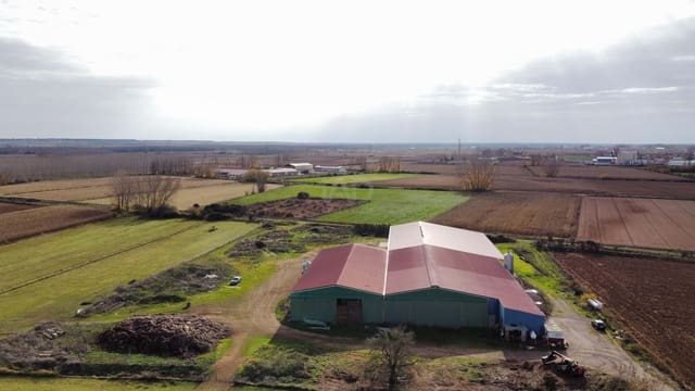 Finca/Landehus til salg i San Millán de los Caballeros - € 695.000 (Ref: 9991485)
