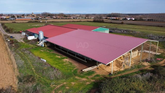 Finca/Landehus til salg i San Millán de los Caballeros - € 695.000 (Ref: 9991485)