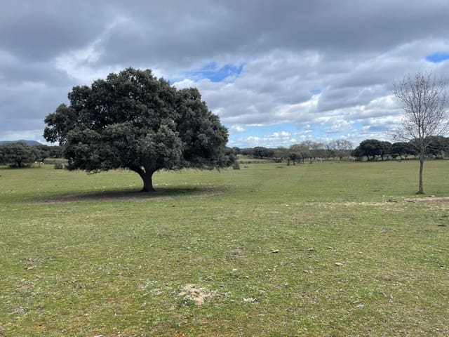 Terreno/Finca Rústica en Madrid ciudad en venta - 495.000 € (Ref: 9991489)