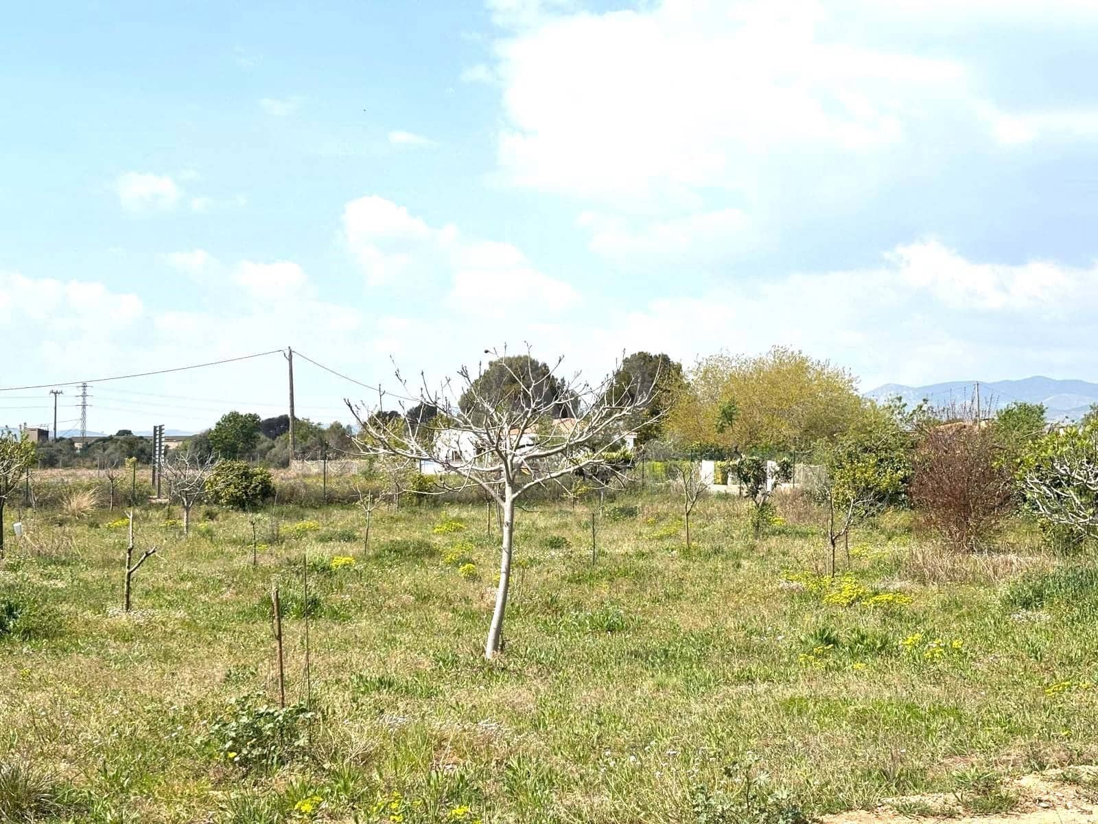 Terreno Non Edificato in vendita in Tarragona citta - 49.900 € (Rif: 9991497)