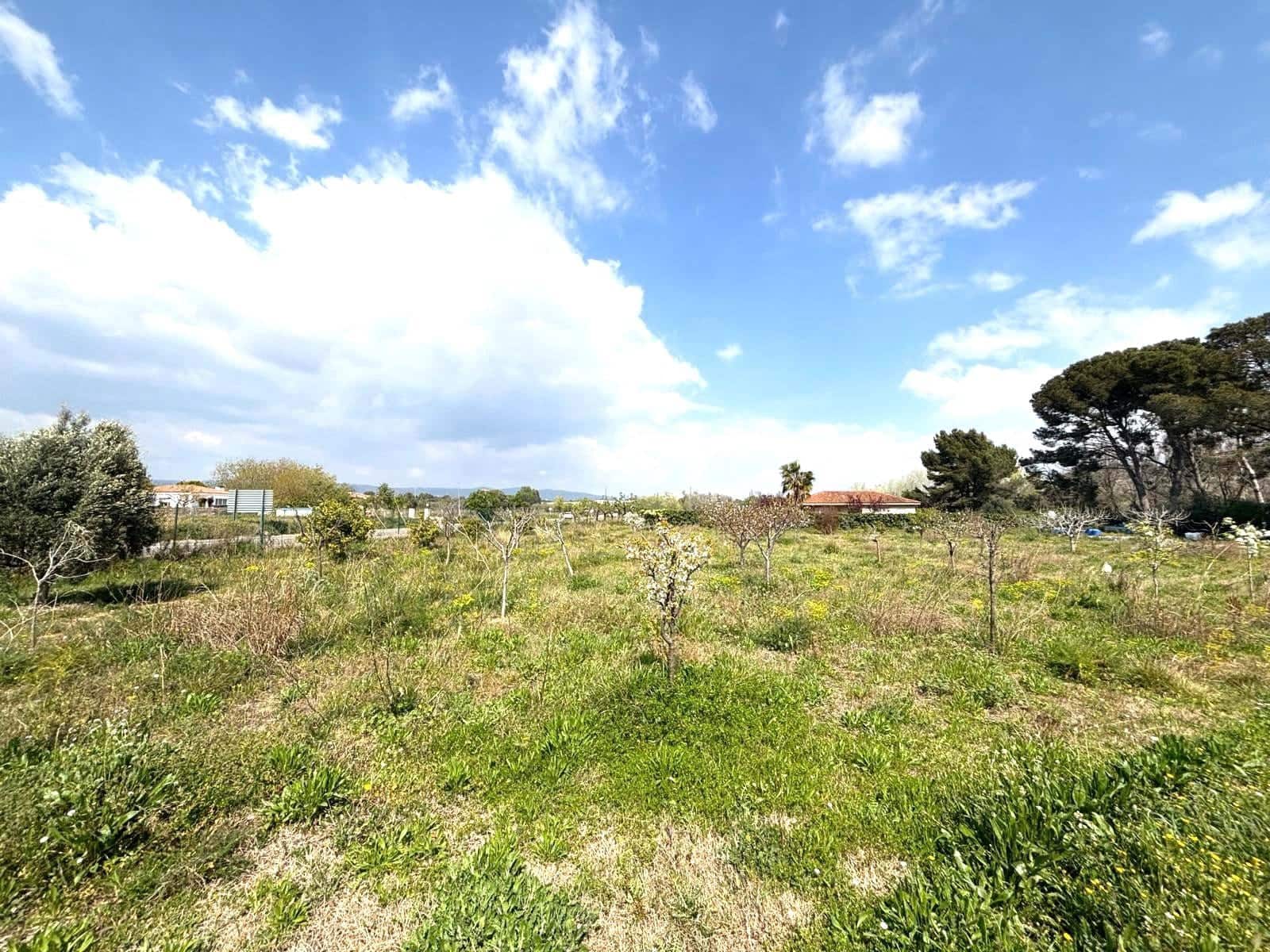 Terreno Non Edificato in vendita in Tarragona citta - 49.900 € (Rif: 9991497)