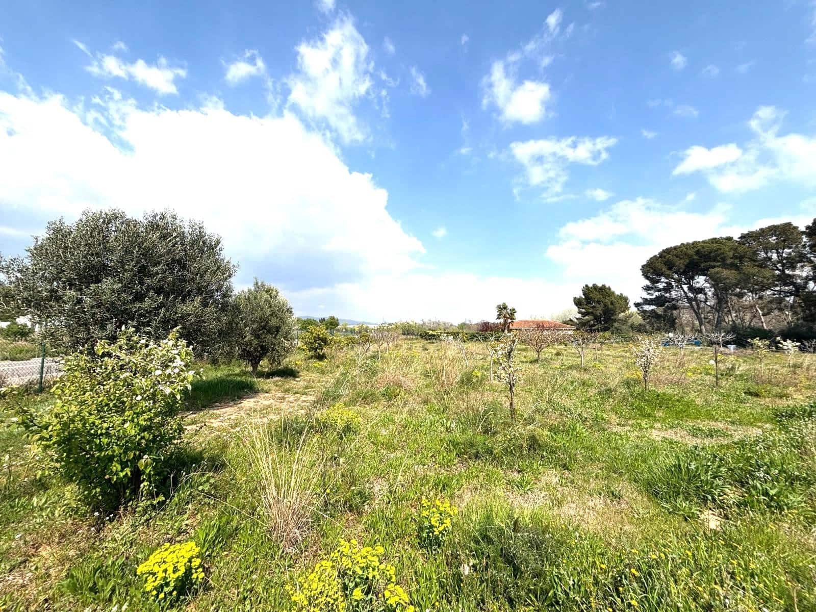 Terreno Non Edificato in vendita in Tarragona citta - 49.900 € (Rif: 9991497)