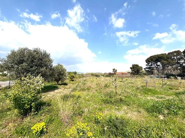 Ubebygd land til salgs i Tarragona by - € 49 900 (Ref: 9991497)