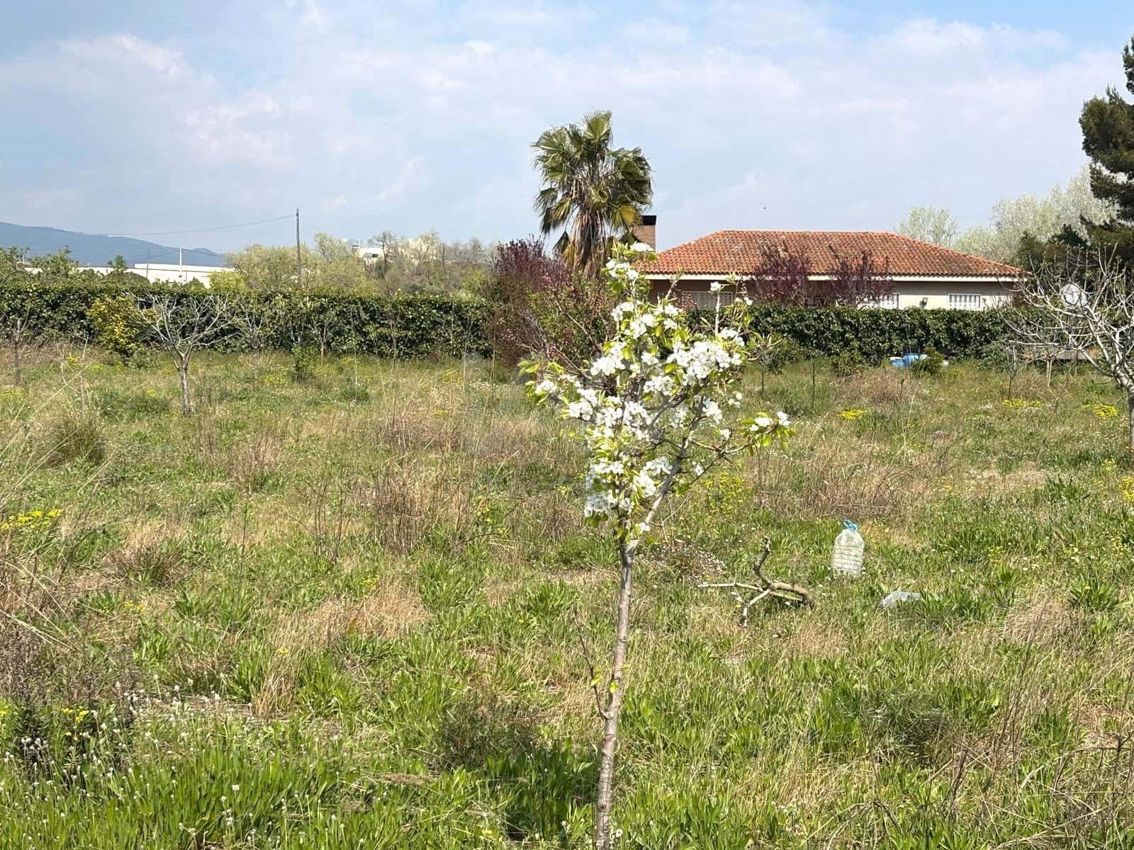 Terreno Non Edificato in vendita in Tarragona citta - 49.900 € (Rif: 9991497)