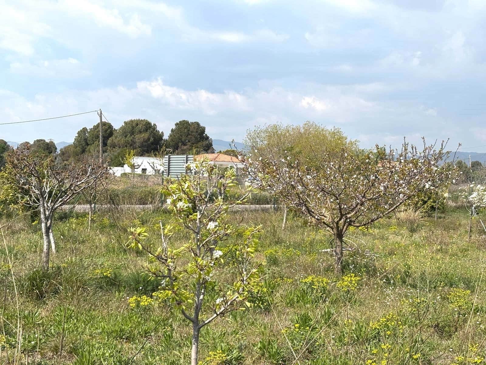 Terreno Non Edificato in vendita in Tarragona citta - 49.900 € (Rif: 9991497)