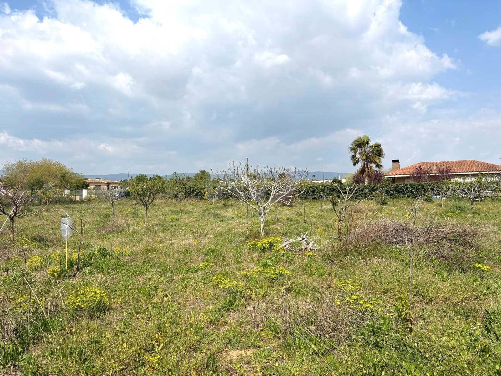Terreno Non Edificato in vendita in Tarragona citta - 49.900 € (Rif: 9991497)