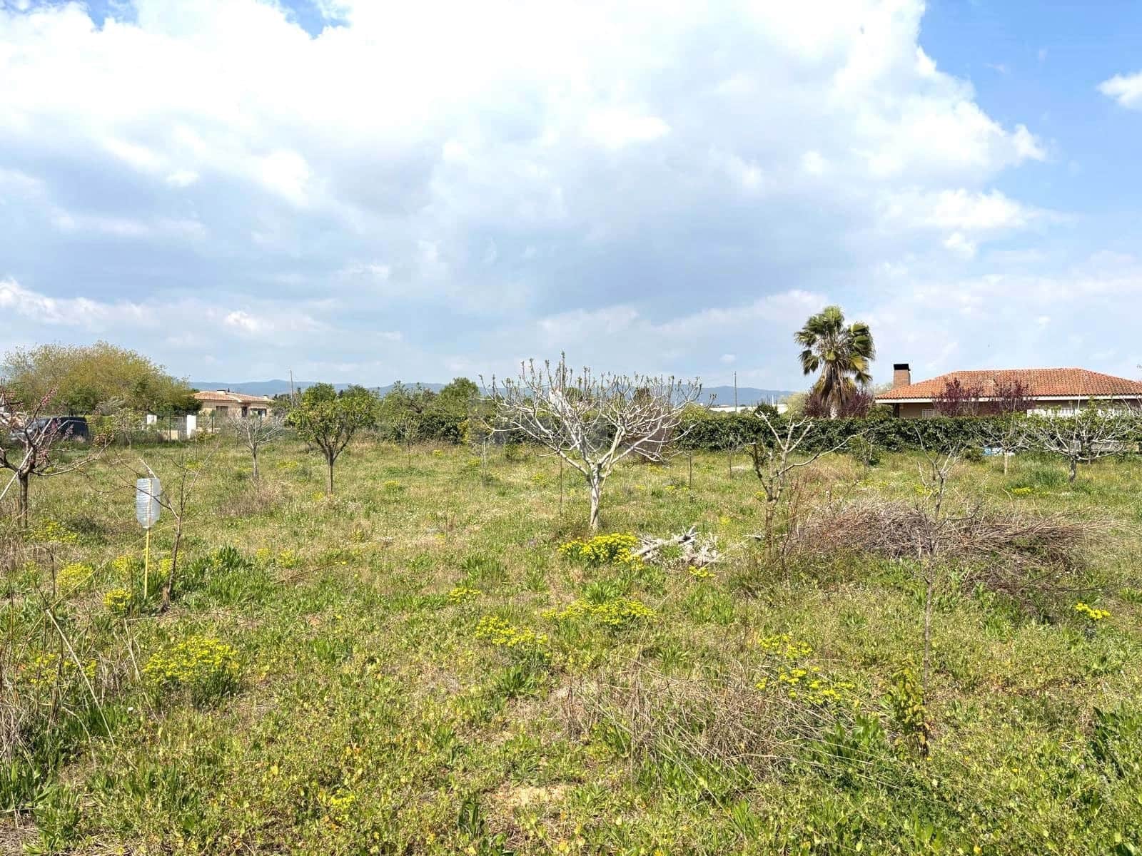 Terreno Non Edificato in vendita in Tarragona citta - 49.900 € (Rif: 9991497)