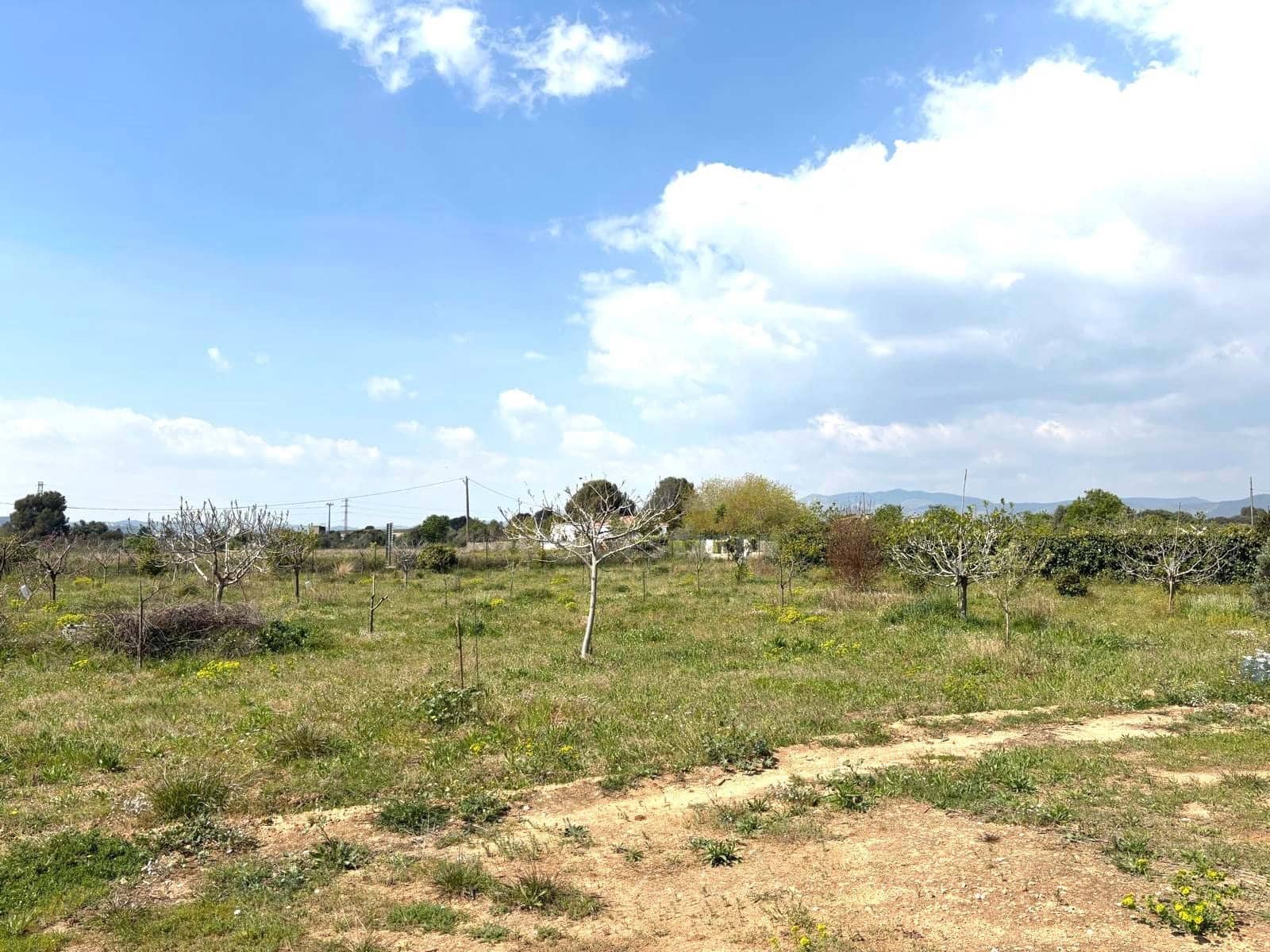 Terreno Non Edificato in vendita in Tarragona citta - 49.900 € (Rif: 9991497)