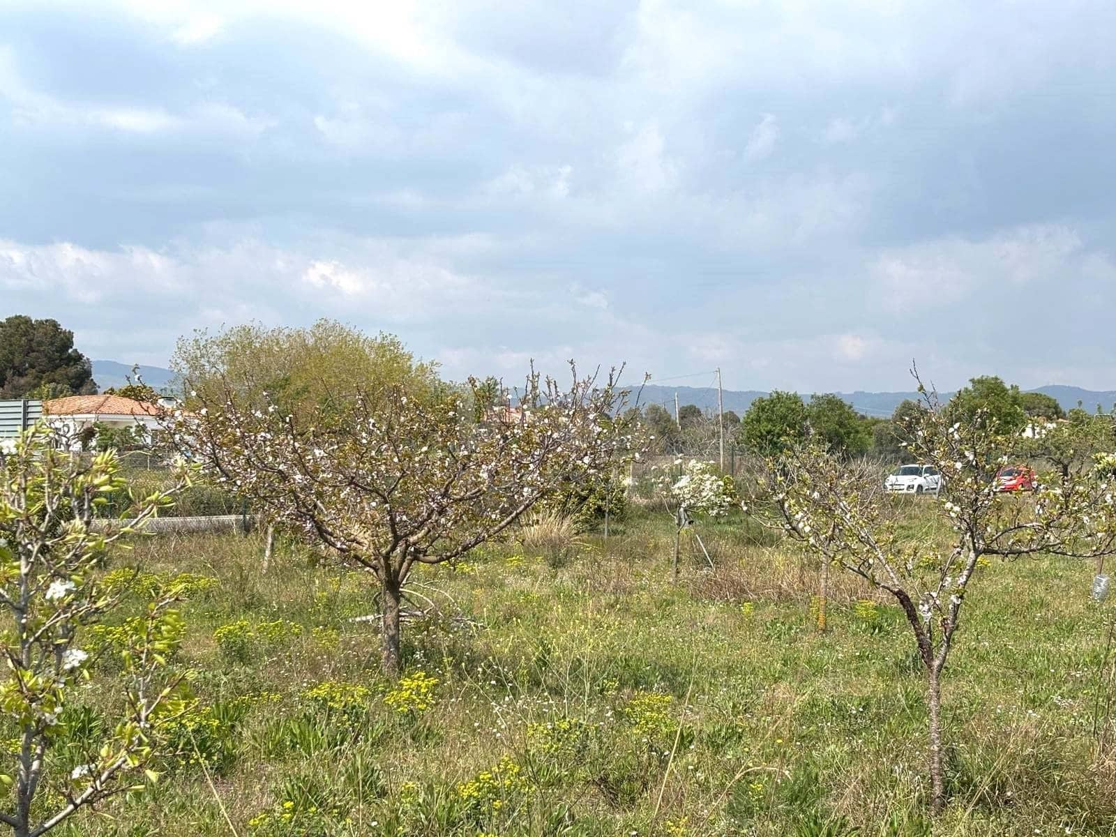Terreno Non Edificato in vendita in Tarragona citta - 49.900 € (Rif: 9991497)