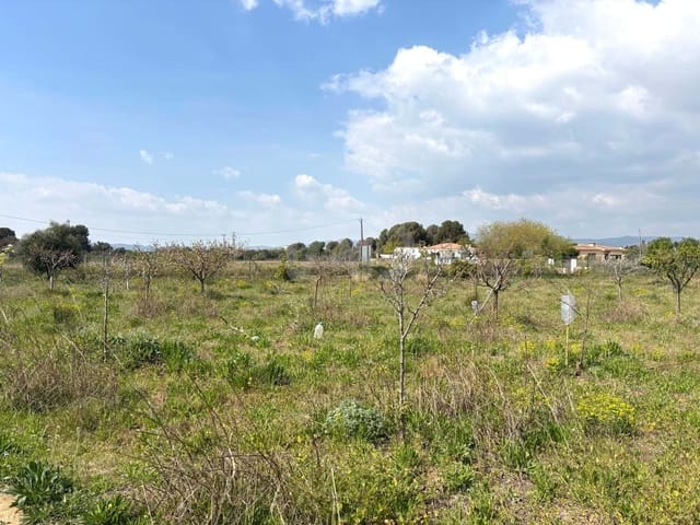 Ubebygd land til salgs i Tarragona by - € 49 900 (Ref: 9991497)