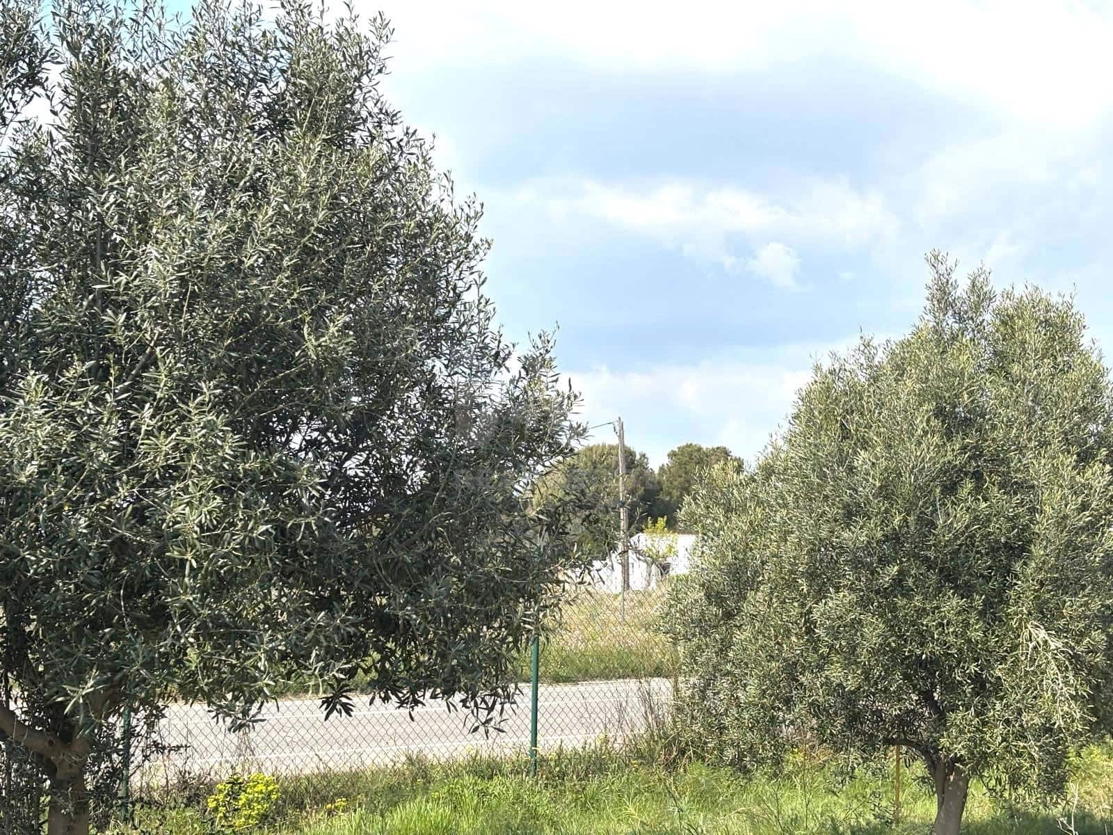 Terreno Non Edificato in vendita in Tarragona citta - 49.900 € (Rif: 9991497)