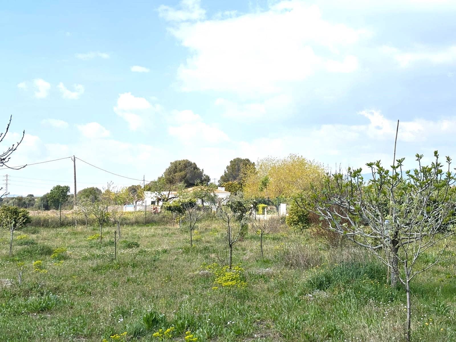 Terreno Non Edificato in vendita in Tarragona citta - 49.900 € (Rif: 9991497)