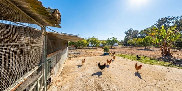 Grunde uden byggetilladelser til salg i Cádiz by - € 90.000 (Ref: 9993590)