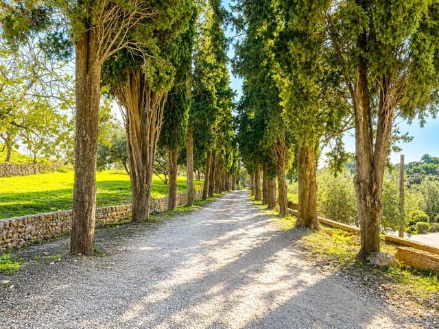 11 soverom Finca/Herregård til salgs i Castellar del Vallès med svømmebasseng garasje - € 5 950 000 (Ref: 9994279)