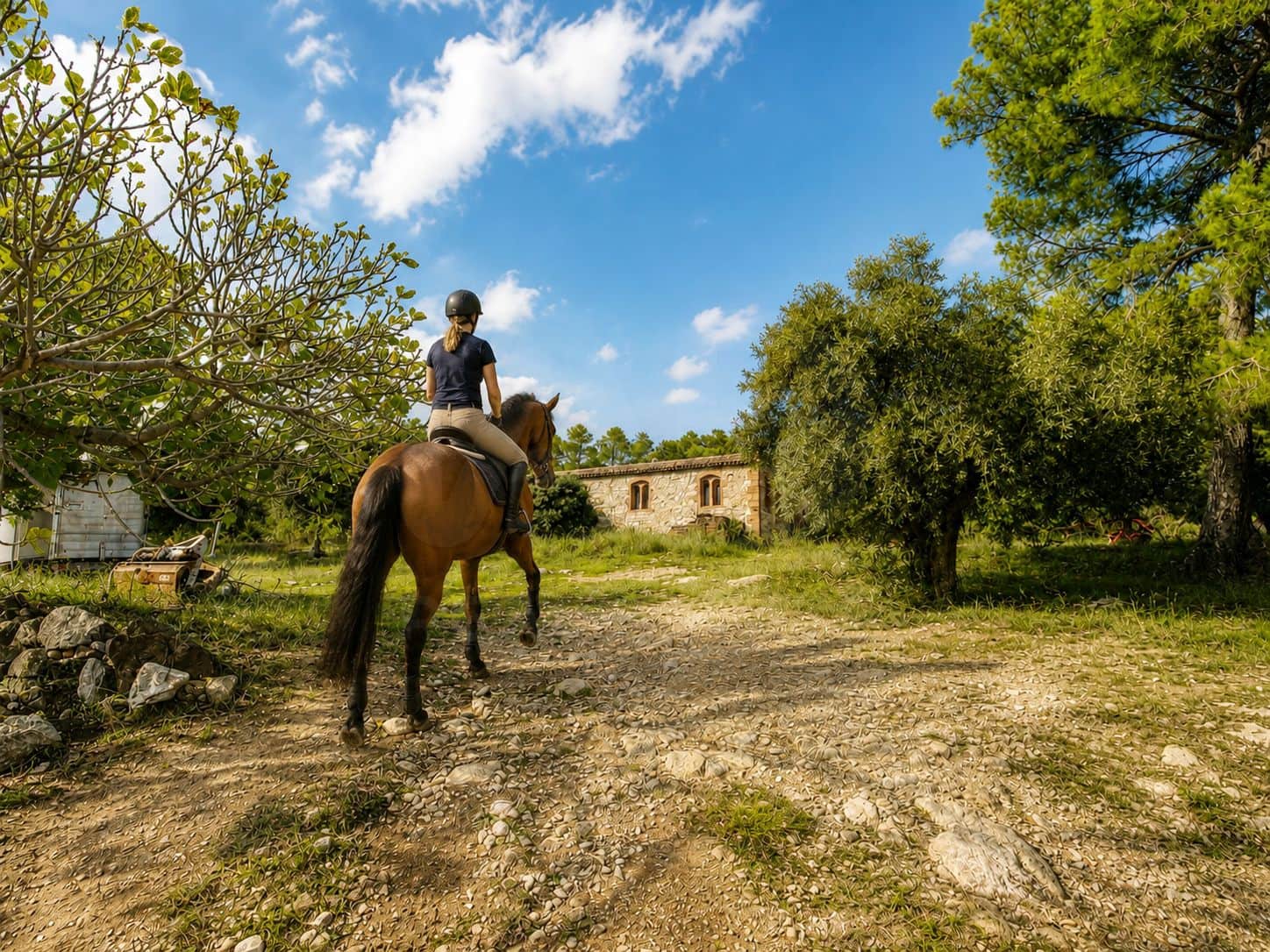 11 soverom Finca/Herregård til salgs i Castellar del Valles med svømmebasseng garasje - € 5 950 000 (Ref: 9994279)