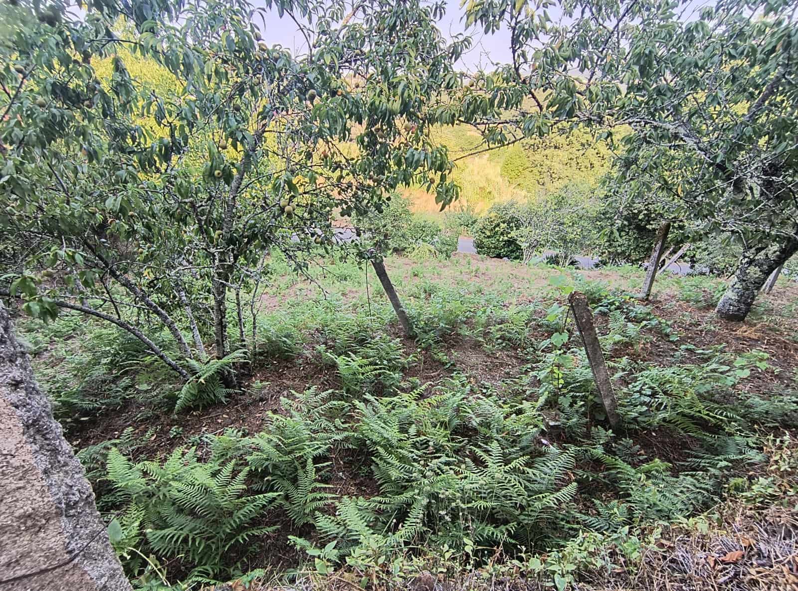 1 camera da letto Casa in vendita in Pontevedra citta - 25.000 € (Rif: 9994701)