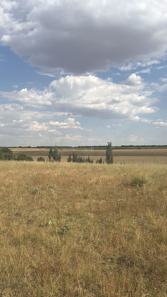 Terre non Aménagée à vendre à Valladolid ville - 90 000 € (Ref: 9995371)