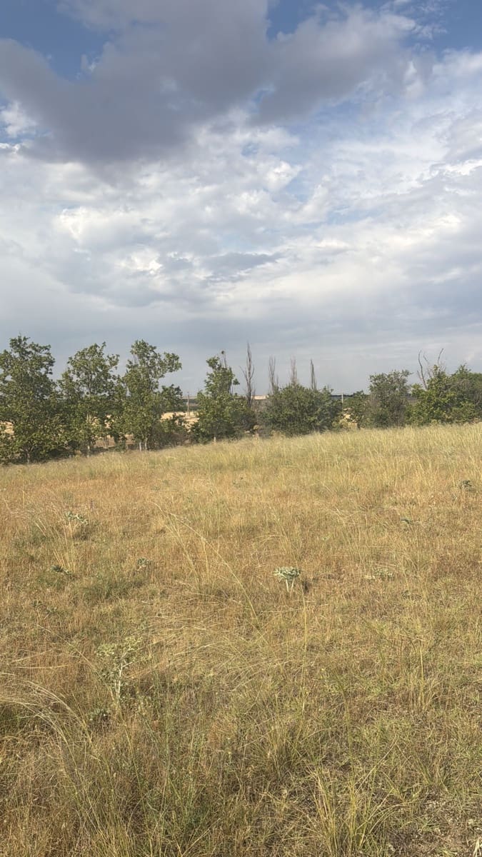 Terre non Aménagée à vendre à Valladolid ville - 90 000 € (Ref: 9995371)