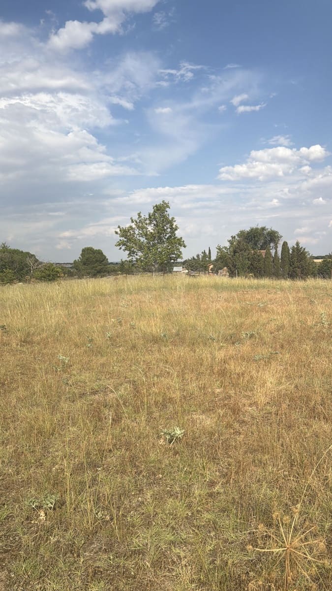 Terre non Aménagée à vendre à Valladolid ville - 90 000 € (Ref: 9995371)