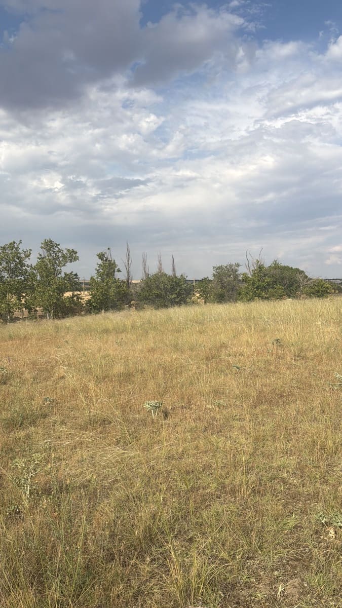 Terre non Aménagée à vendre à Valladolid ville - 90 000 € (Ref: 9995371)