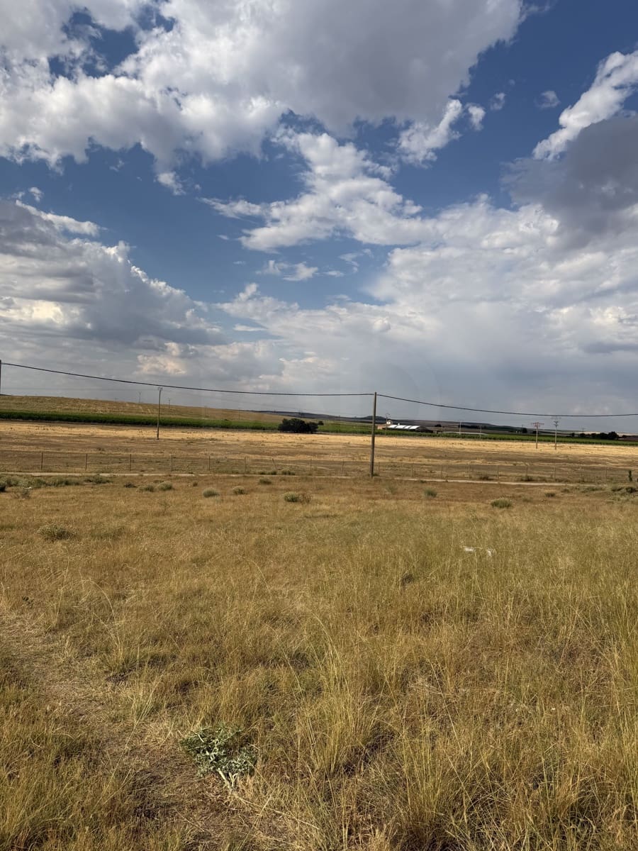 Terre non Aménagée à vendre à Valladolid ville - 90 000 € (Ref: 9995371)