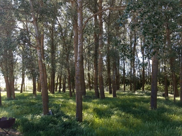 Grond te koop in Aguilar de Campos - € 62.500 (Ref: 9996539)