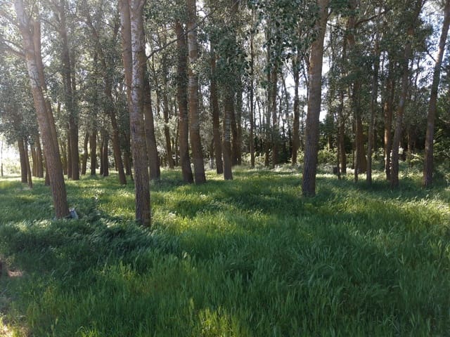 Grond te koop in Aguilar de Campos - € 62.500 (Ref: 9996539)