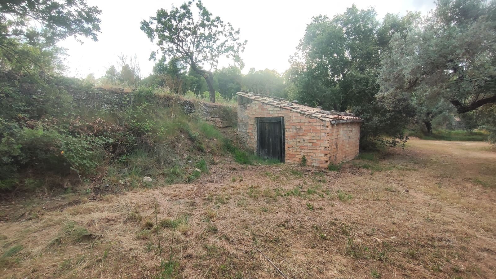 Grond te koop in Lledo - € 65.000 (Ref: 9997146)