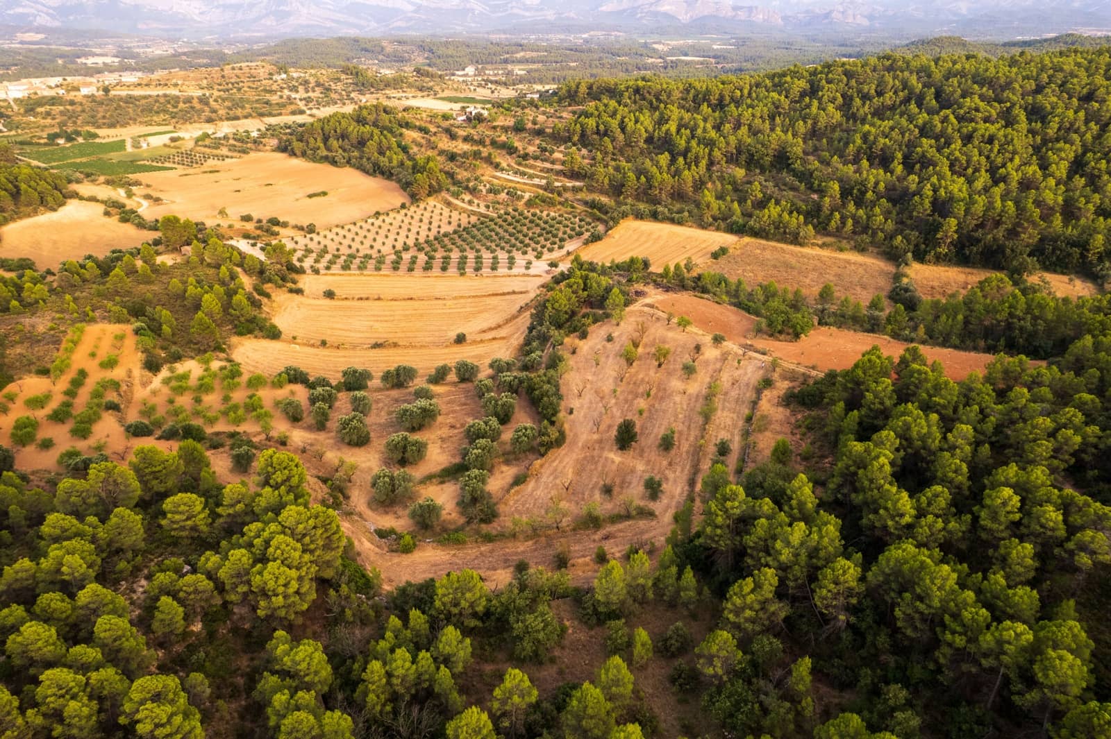 Grond te koop in Lledo - € 65.000 (Ref: 9997146)