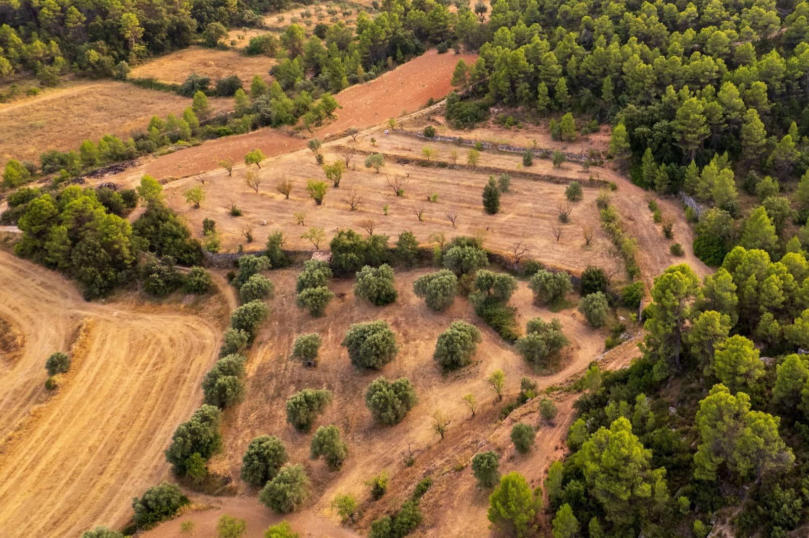 Grond te koop in Lledo - € 65.000 (Ref: 9997146)